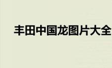 丰田中国龙图片大全（中国龙图片大全）