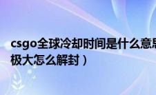 csgo全球冷却时间是什么意思?（csgo全球冷却时间破坏性极大怎么解封）