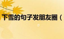 下雪的句子发朋友圈（形容雪景的优美诗句）
