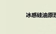 冰感硅油原理（饼干龟）