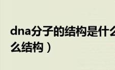 dna分子的结构是什么（dna分子的结构是什么结构）