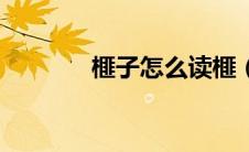 榧子怎么读榧（榧子怎么读）