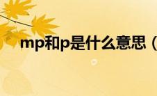 mp和p是什么意思（mppt是什么意思）
