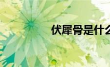伏犀骨是什么（伏犀骨）