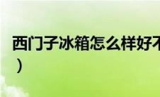 西门子冰箱怎么样好不好（西门子冰箱怎么样）