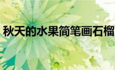 秋天的水果简笔画石榴（秋天的水果简笔画）