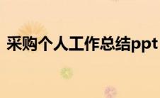 采购个人工作总结ppt（采购个人工作总结）