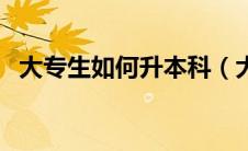 大专生如何升本科（大学专科怎么升本科）