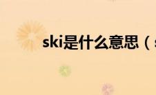 ski是什么意思（sky是什么意思）