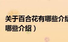 关于百合花有哪些介绍和特点（关于百合花有哪些介绍）