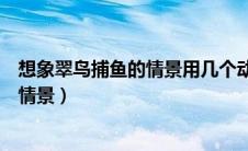 想象翠鸟捕鱼的情景用几个动词写一段话（想象翠鸟捕鱼的情景）
