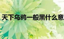 天下乌鸦一般黑什么意思（天下乌鸦一般黑）