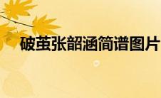 破茧张韶涵简谱图片（破茧张韶涵简谱）