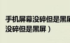 手机屏幕没碎但是黑屏是怎么回事（手机屏幕没碎但是黑屏）