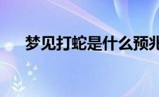 梦见打蛇是什么预兆 女性（梦见打蛇）