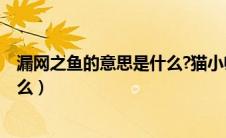 漏网之鱼的意思是什么?猫小帅视频?（漏网之鱼的意思是什么）
