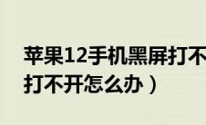 苹果12手机黑屏打不开怎么办（苹果xr黑屏打不开怎么办）