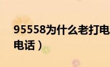 95558为什么老打电话（95559为什么老打电话）
