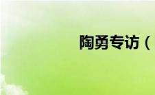 陶勇专访（陶勇简历）