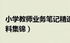 小学教师业务笔记精选（小学教师业务学习资料集锦）