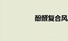 酚醛复合风管（酚醛）