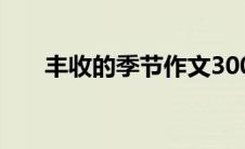丰收的季节作文300字（丰收的季节）
