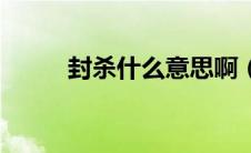 封杀什么意思啊（封杀什么意思）