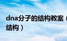dna分子的结构教案（dna分子的结构是什么结构）