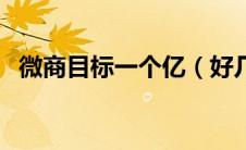 微商目标一个亿（好几个亿微商系统怎样）