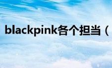 blackpink各个担当（blackpink成员担当）
