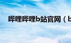 哔哩哔哩b站官网（bilbil哔哩哔哩网站）