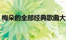 梅朵的全部经典歌曲大全（梅朵的歌曲大全）