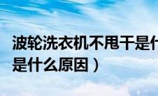 波轮洗衣机不甩干是什么原因（洗衣机不甩干是什么原因）
