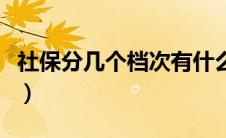 社保分几个档次有什么区别（社保分几个档次）