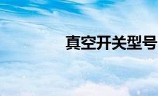 真空开关型号（真空开关）