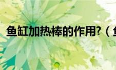 鱼缸加热棒的作用?（鱼缸加热棒使用方法）