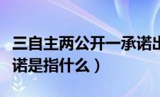 三自主两公开一承诺出处（三自主两公开一承诺是指什么）