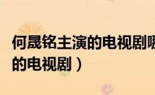 何晟铭主演的电视剧哪部最好看（何晟铭主演的电视剧）