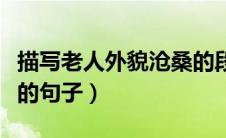描写老人外貌沧桑的段落（描写老人外貌沧桑的句子）
