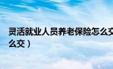 灵活就业人员养老保险怎么交费（灵活就业人员养老保险怎么交）