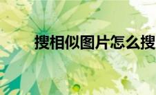 搜相似图片怎么搜（搜图片怎么搜）