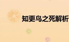 知更鸟之死解析（知更鸟之死）