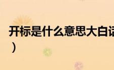 开标是什么意思大白话解释（开标是什么意思）
