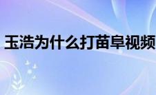 玉浩为什么打苗阜视频（玉浩为什么打苗阜）