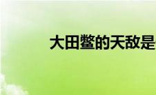 大田鳖的天敌是什么（大田鳖）
