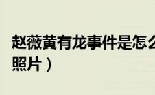 赵薇黄有龙事件是怎么回事（赵薇删除黄有龙照片）