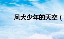 风犬少年的天空（疯犬少年的天空）