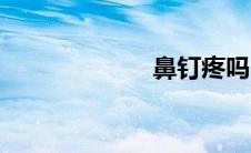 鼻钉疼吗（鼻钉）