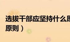 选拔干部应坚持什么原则（选拔干部坚持哪些原则）