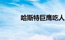 哈斯特巨鹰吃人（哈斯特巨鹰）